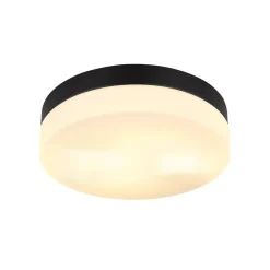 Globo Terrassebelysning|Udendørs Loftlamper > Udendørs loftslampe Vranos, mat sort, Ø 24 cm, aluminium