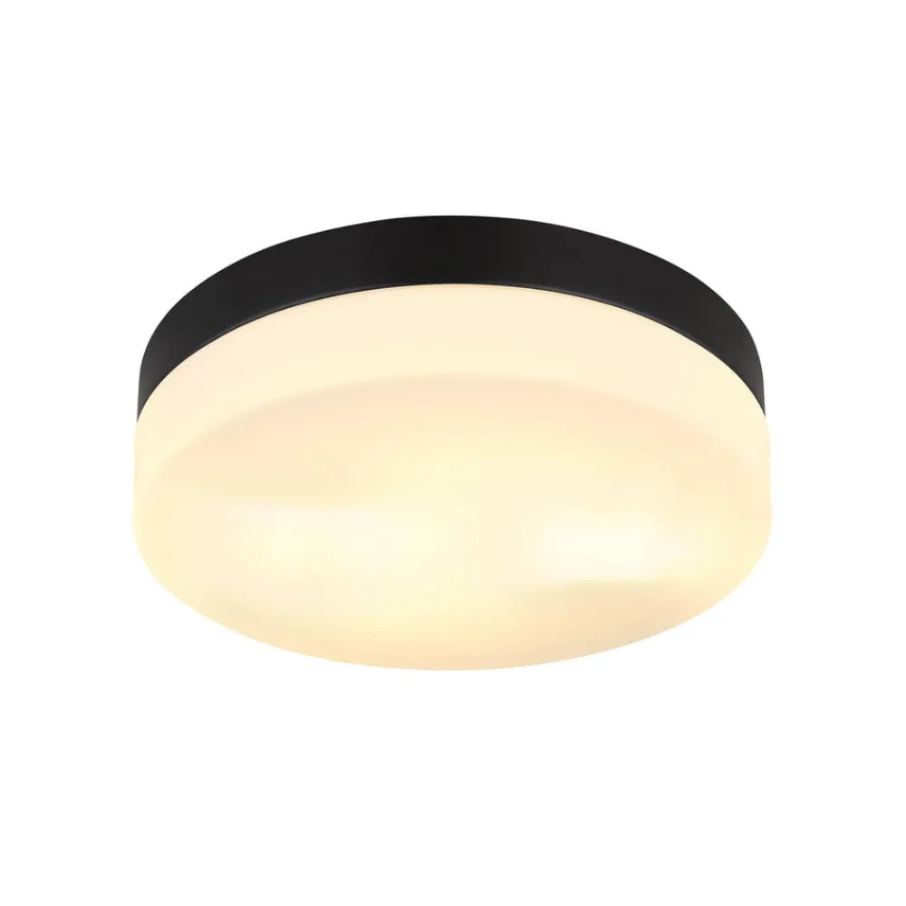 Globo Terrassebelysning|Udendørs Loftlamper > Udendørs loftslampe Vranos, mat sort, Ø 24 cm, aluminium