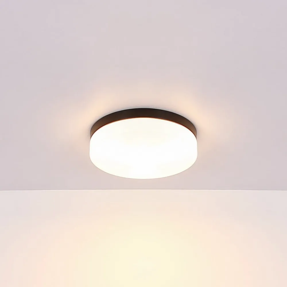 Globo Terrassebelysning|Udendørs Loftlamper > Udendørs loftslampe Vranos, mat sort, Ø 24 cm, aluminium