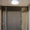Globo Terrassebelysning|Udendørs Loftlamper > Udendørs loftslampe Vranos, sølvfarvet, Ø 24 cm, aluminium