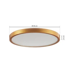 ORION Loftlamper|Loftlamper > Vika LED-loftlampe, rund, mat guld, Ø 30 cm