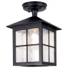 Elstead Udendørs Loftlamper > Winchester BL18A udendørs loftlampe