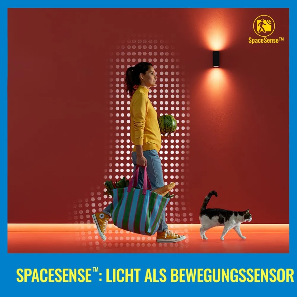 WiZ Dæmpbar Led-Pære|Filament Pære > A60 LED-filamentpære WiFi E27 6,3 W RGBW