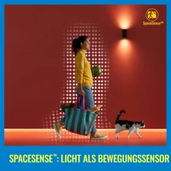 WiZ Dæmpbar Led-Pære|Filament Pære > G95 LED-filamentpære globe WiFi E27 6,3 W RGBW