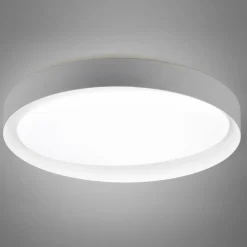 Loftlamper ^ Reality Leuchten Zeta LED-loftlampe, tunable white, grå/hvid
